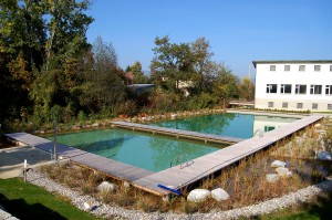 Immobilien jura